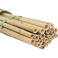 Bricomed Tutor bambú tailandés para Plantas 180cm - Pack 5uds.